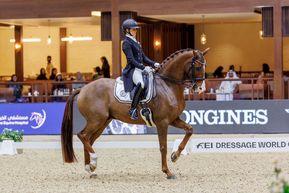 
                  
                    Load image into Gallery viewer, &amp;#39;The Queen&amp;#39; White Jewel Merino Fleece Saddle Pad
                  
                