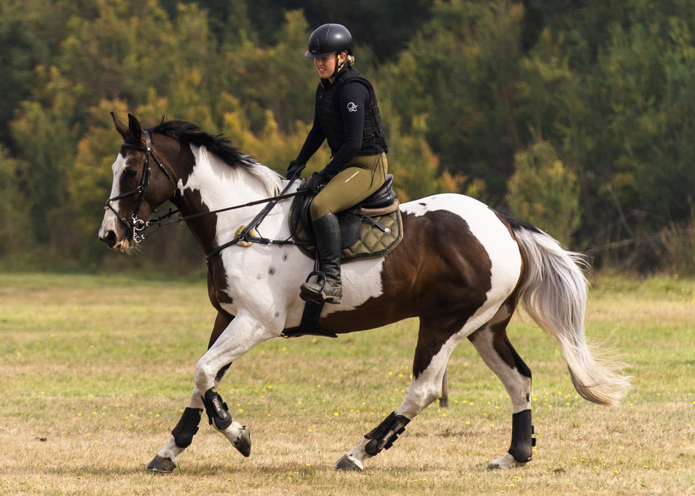 
                  
                    Load image into Gallery viewer, &amp;#39;The Majesty&amp;#39; Olive Green Jewel Jump Saddle Pad
                  
                