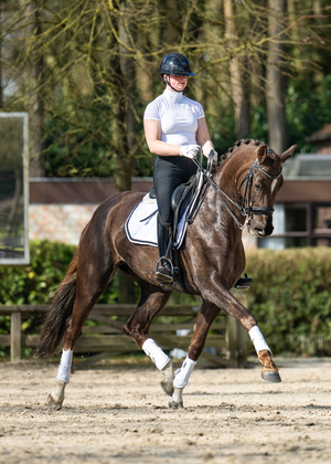 
                  
                    Load image into Gallery viewer, The LuxAir White Mesh Tendon Boots
                  
                