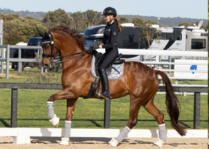 
                  
                    Load image into Gallery viewer, &amp;#39;The Duke&amp;#39; Grey Full Merino Wool Fleece Saddle Pad
                  
                