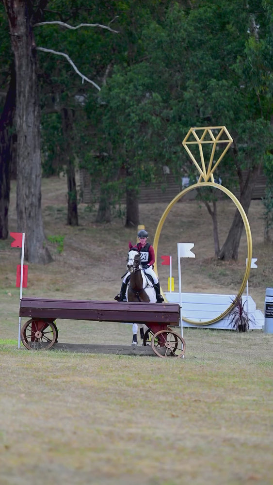 
                  
                    Load and play video in Gallery viewer, &amp;#39;The Empress&amp;#39; Ruby Red Jewel Jump Saddle Pad
                  
                