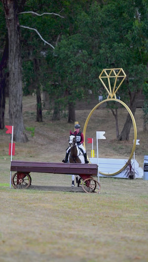 
                  
                    Load and play video in Gallery viewer, &amp;#39;The Empress&amp;#39; Ruby Red Jewel Jump Saddle Pad
                  
                