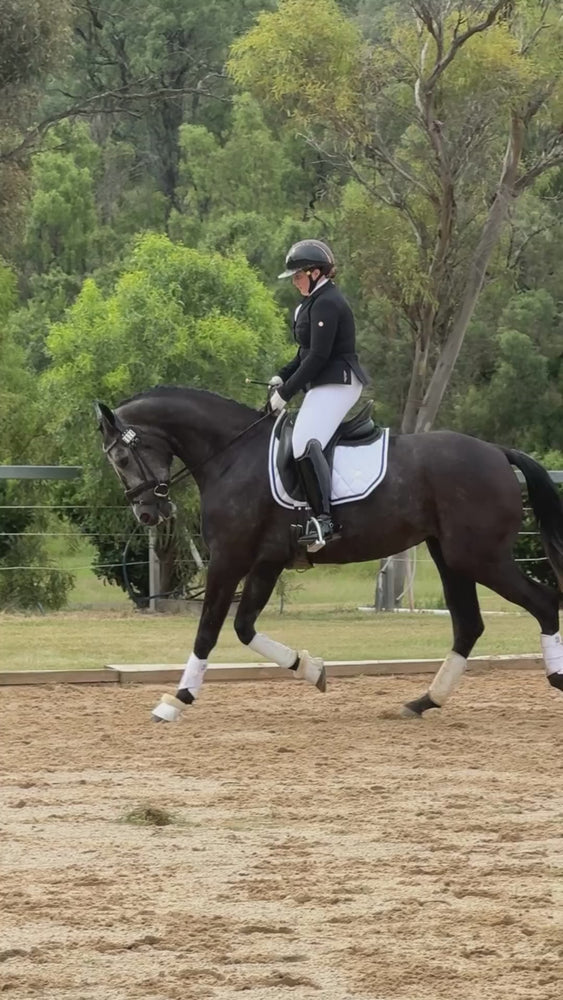 
                  
                    Load and play video in Gallery viewer, &amp;#39;The Duchess&amp;#39; White Jewel Competition Saddle Pad
                  
                